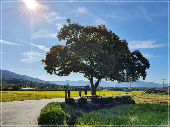 a0109537_5da87e75f2a6b.jpg?type=w966