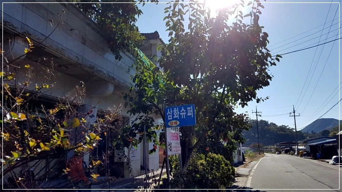 a0109537_5a0025484409a.jpg?type=w966