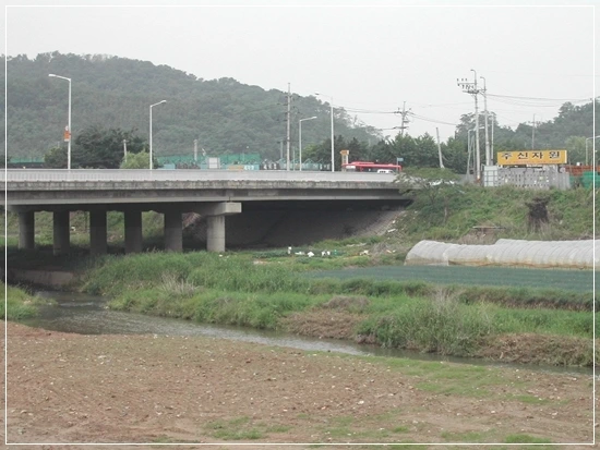 a0109537_49879430203f1.jpg?type=w966