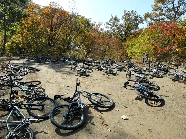 a0109537_5084b590988b5.jpg?type=w966