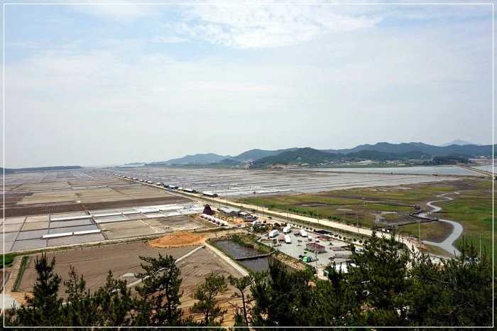 a0109537_59511516bf6d9.jpg?type=w966