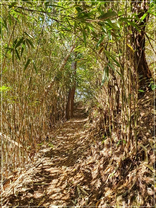 a0109537_5da883709abd1.jpg?type=w966