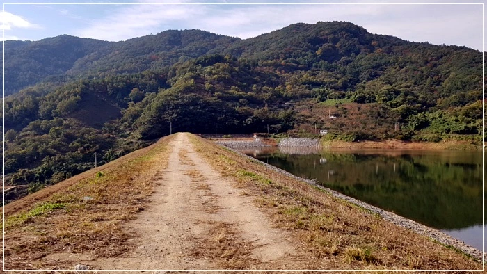 a0109537_5a01addcc1bec.jpg?type=w966