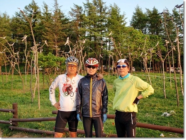 a0109537_4fc42f363dc79.jpg?type=w966