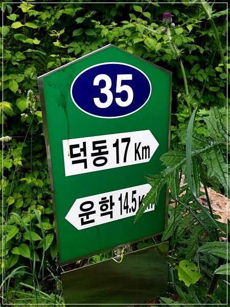 a0109537_51c7d6bbb85f4.jpg?type=w966