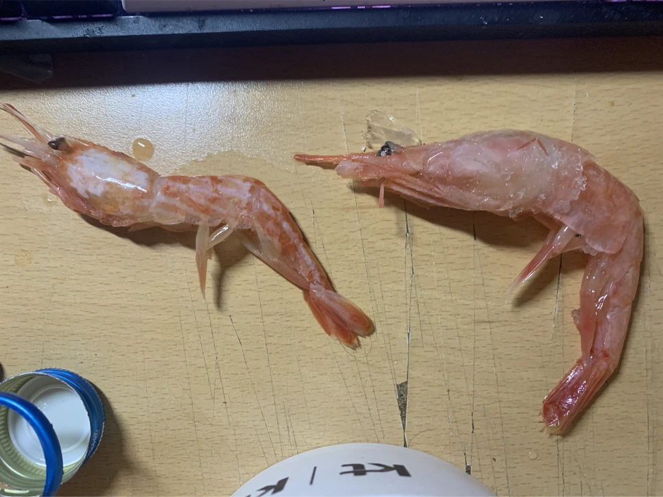 SE-9a30a218-99be-4688-abe2-3b9d63fcc64b.png?type=w966