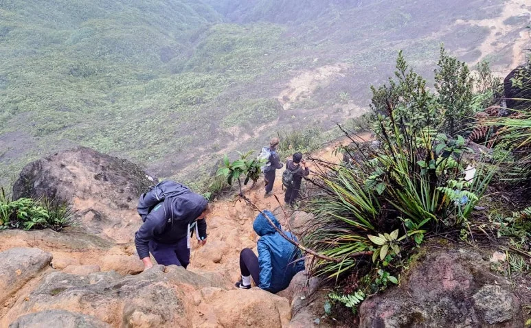 SE-4c52513a-ecfc-4fe2-bf38-bf5d7450fa5f.jpg?type=w773