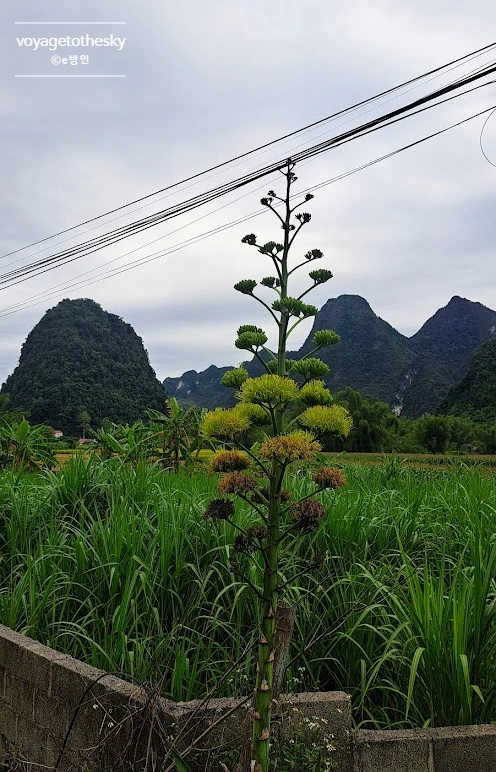 SE-413889e3-6381-4c75-bb49-f7505fc3518d.jpg?type=w773