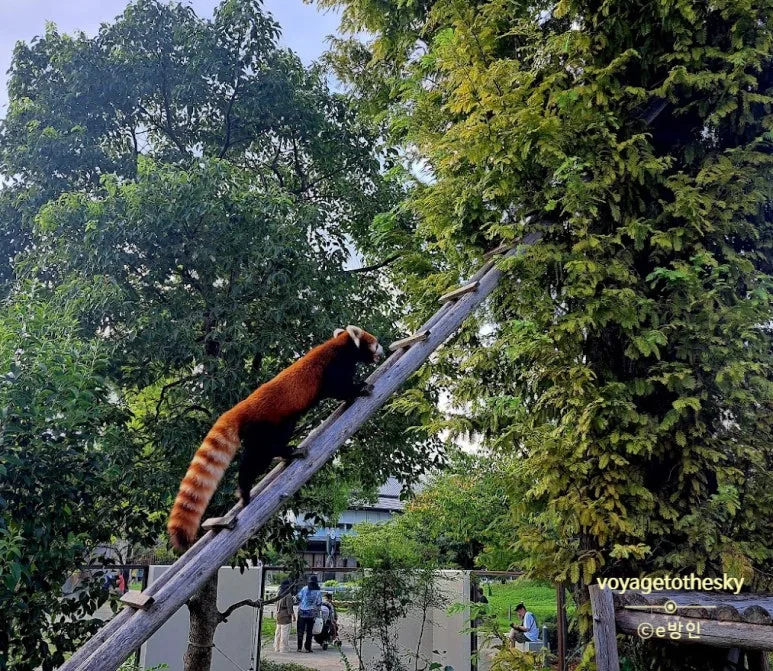 SE-70f36fc6-6909-49a5-8175-d64f010ede87.jpg?type=w773