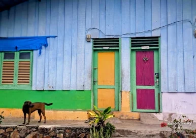 SE-bf7a6907-2353-4eb1-87f8-09d481da43c6.jpg?type=w386