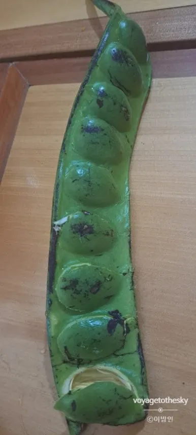 SE-dc3cda5f-fa41-4eeb-8fa7-70df77b04c9c.jpg?type=w386