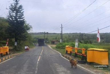 SE-1901e9f4-8666-4262-b081-652e337bf0c2.jpg?type=w386