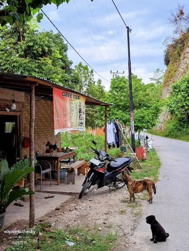 SE-dad282a6-d03a-4e9c-8eb6-20f1d7f2530b.jpg?type=w386