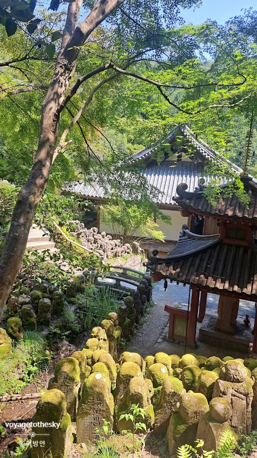 SE-5aa2e084-2375-4c90-b154-3294cd5625bb.jpg?type=w773