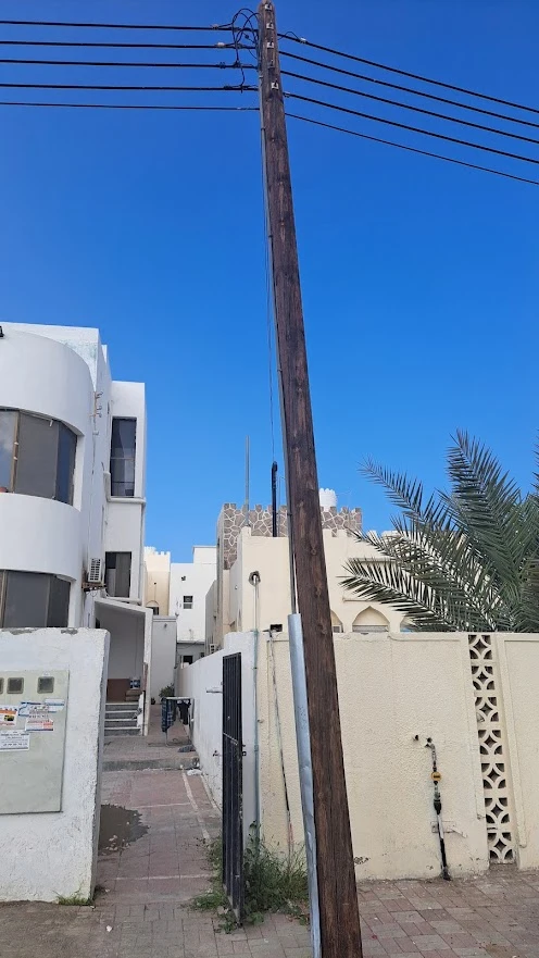 20241227_102931.jpg?type=w773