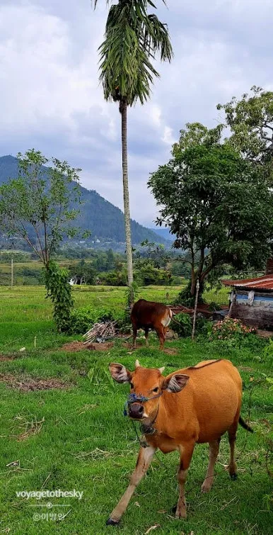 SE-b33ac3ca-cf83-425e-b59c-2b6a72e7b134.jpg?type=w386