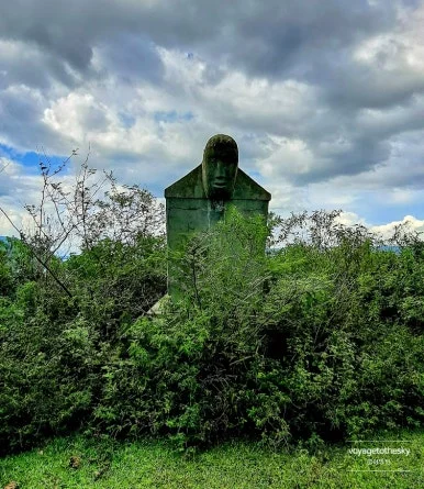 SE-6aaed699-fea7-4a0a-846f-63f582c458de.jpg?type=w386