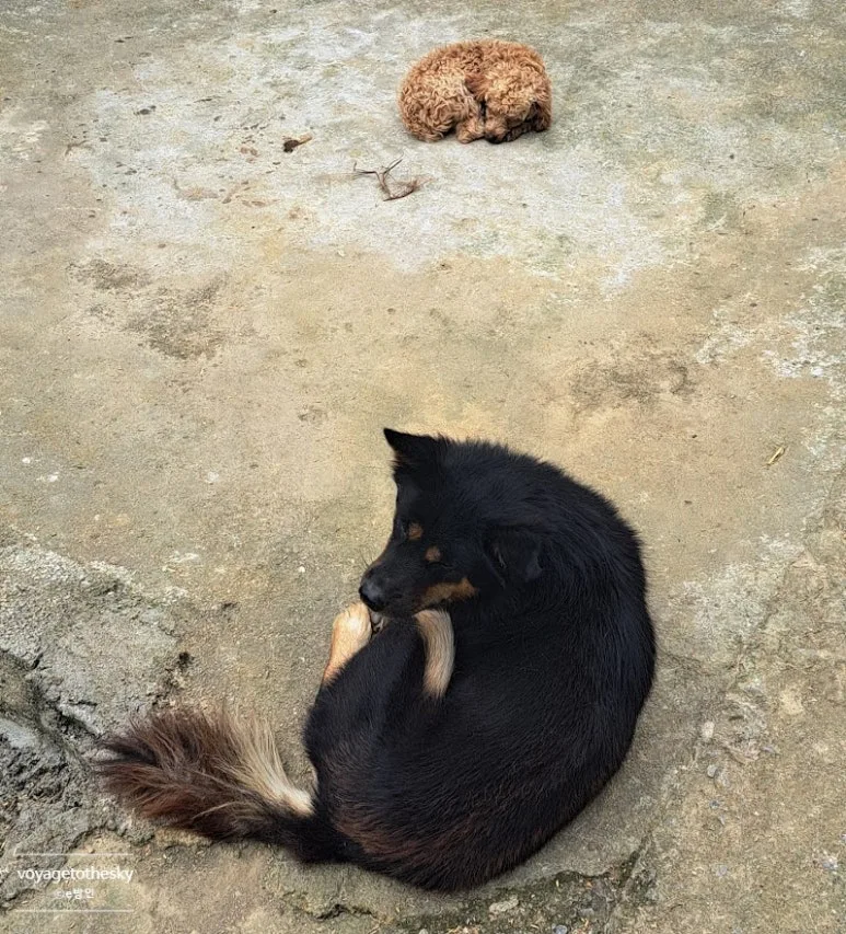 SE-e412a242-f754-42b2-acf7-95d9b5ae6740.jpg?type=w773