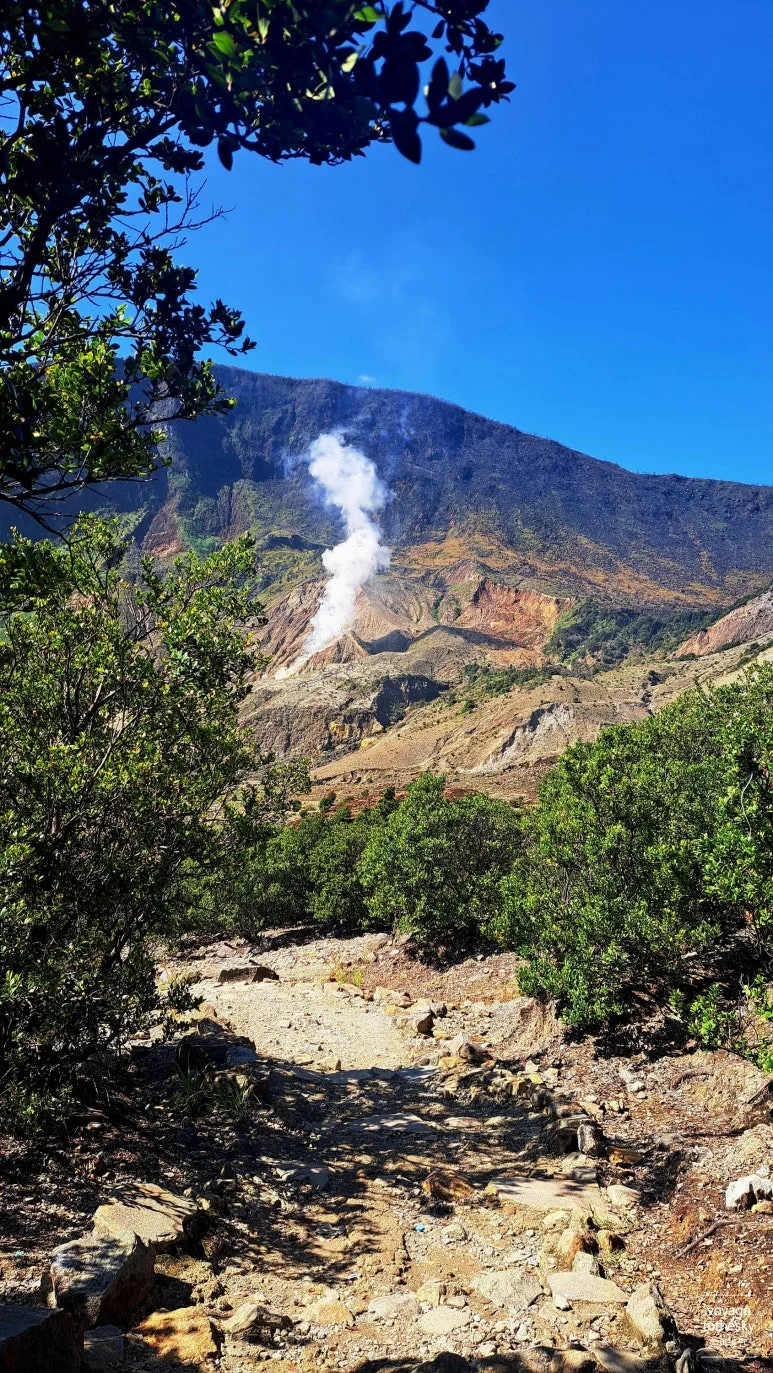 SE-5dc212df-7ccb-4866-9f8c-0b473f44c271.jpg?type=w773