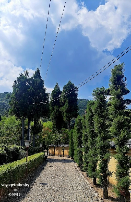 SE-1c9b6d72-d7a8-48d3-bd38-3ddcaf178d8b.jpg?type=w773