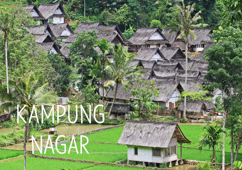 SE-aa952692-90f0-4d49-b6f2-a2676383544c.jpg?type=w773