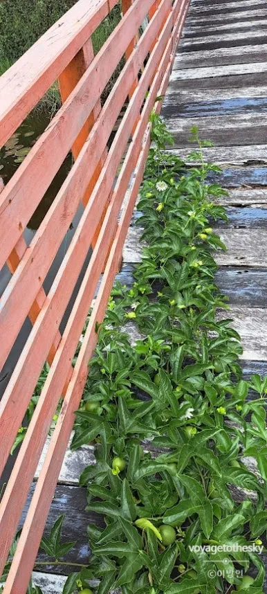 SE-753bd1ca-cf1f-47d7-aa7c-c8c2242b59b4.jpg?type=w386