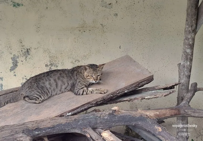 SE-0f9322f1-ba01-422c-b163-935f0a072968.jpg?type=w773