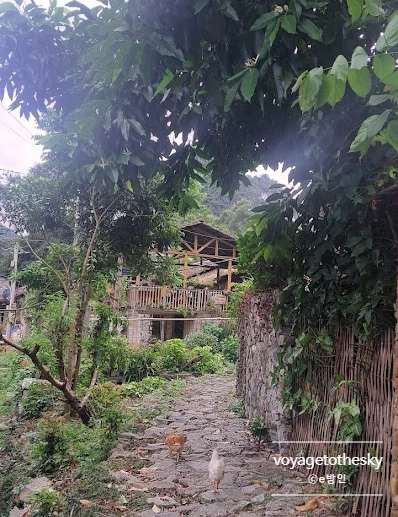 SE-82d33ea3-9df9-4a30-b312-dd30e4e79852.jpg?type=w773