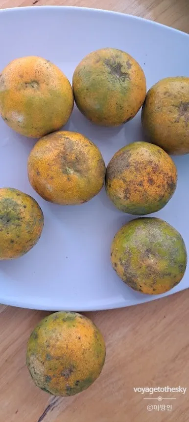 SE-bc6fd4d1-e203-45e0-802e-08f399fa9063.jpg?type=w386