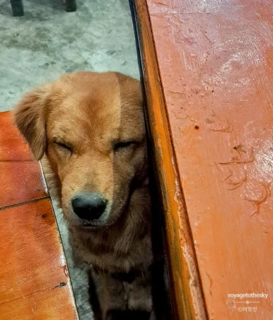 SE-a9ed0ed8-ee84-4682-91a9-ea66c79cce03.jpg?type=w386