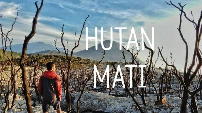 SE-8dbfbac5-2715-467d-84f2-ad65c727c4eb.jpg?type=w773