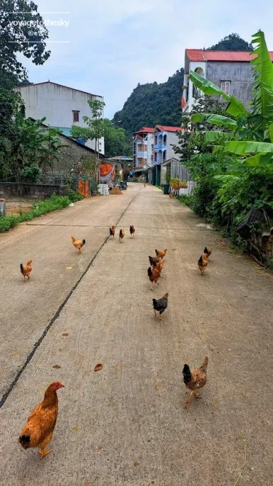 SE-0cc05cb9-ce0b-4632-9af7-2c083577f18f.jpg?type=w386