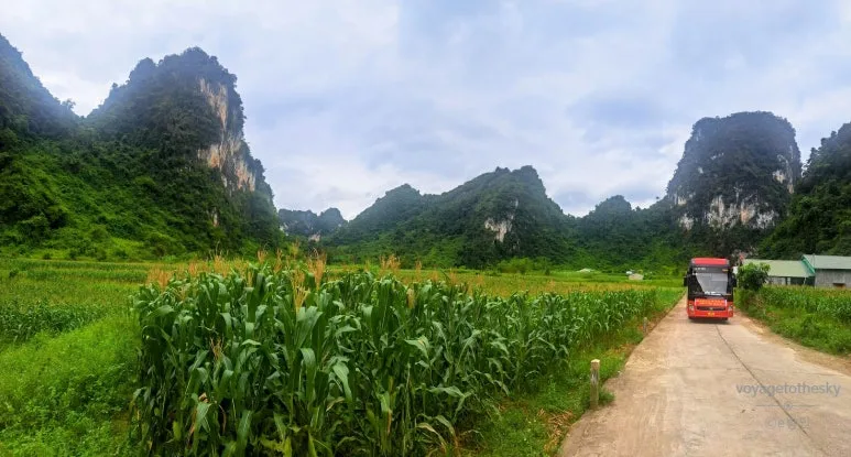 SE-53098cbe-797c-4947-ac71-b75cf73ea44c.jpg?type=w773