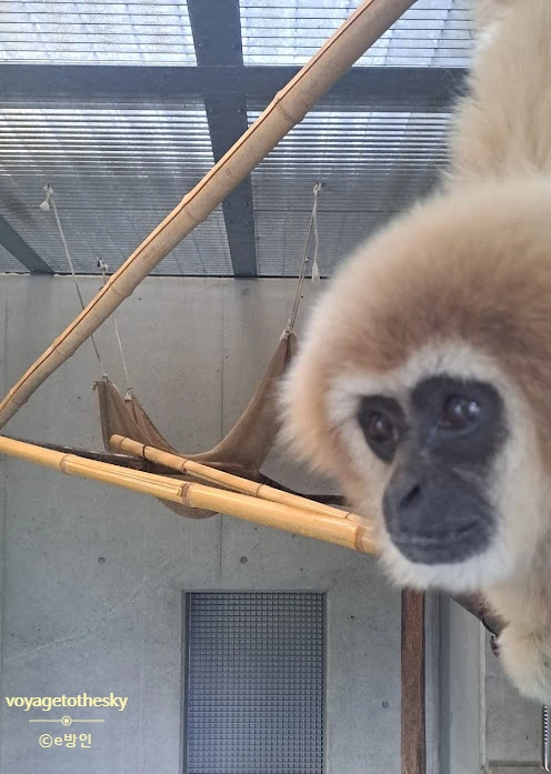 SE-85bec351-466a-4bcd-a088-009cd51bf8ca.jpg?type=w773