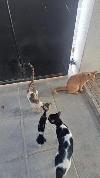 20241227_162727.jpg?type=w386