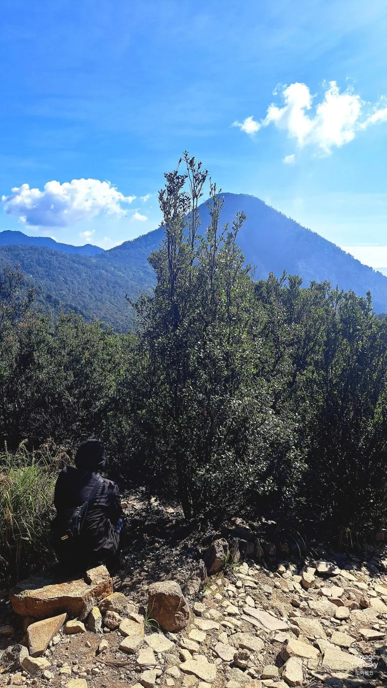 SE-14ce63ba-dfd7-4277-8e5b-70b58bd88503.jpg?type=w773