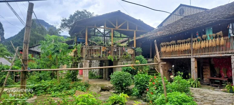 SE-34a1abac-29a7-4748-958d-aa12c3164591.jpg?type=w773