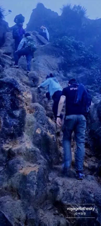 SE-a76094b9-dc20-4456-9aae-0c11bc987f9c.jpg?type=w386