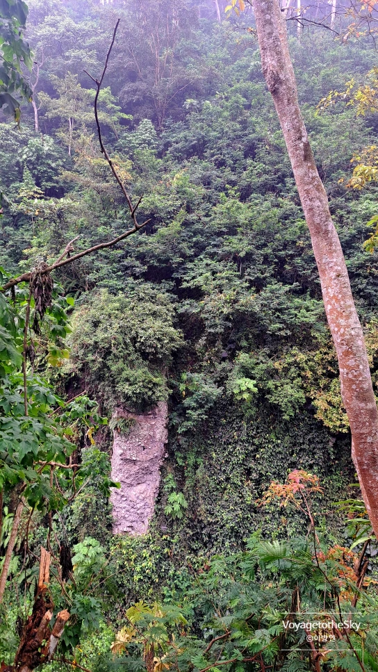 SE-4a012f20-38da-486c-89a9-5430f0664120.png?type=w773