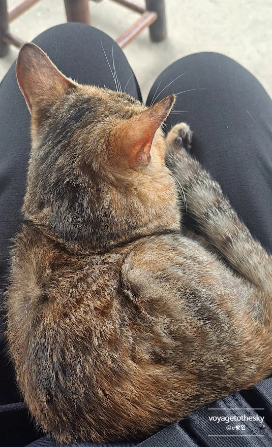 SE-12253d83-7b58-4d53-9a2b-f1bb7331a56a.jpg?type=w773