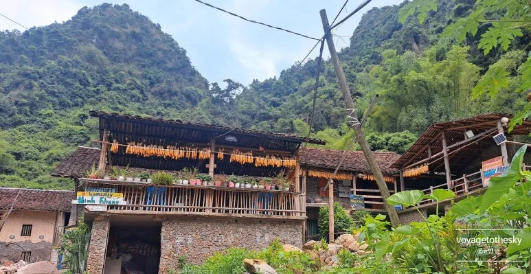 SE-d0cd6b4c-b701-4198-b21b-a00a819a8b09.jpg?type=w773