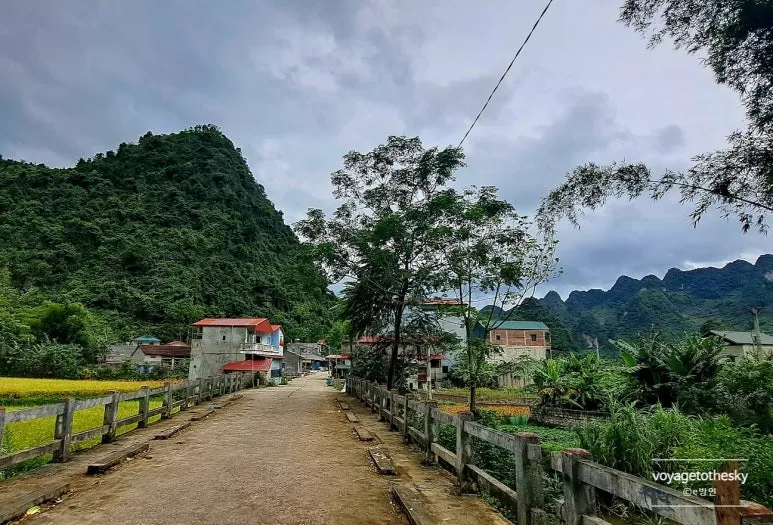 SE-4cbddfef-6f9b-47c4-a747-a93e807a7afd.jpg?type=w773