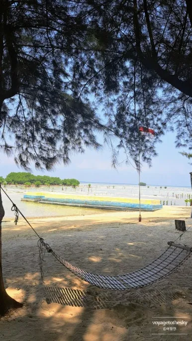 SE-5947d322-a042-4e1f-a093-98643ace3687.jpg?type=w386