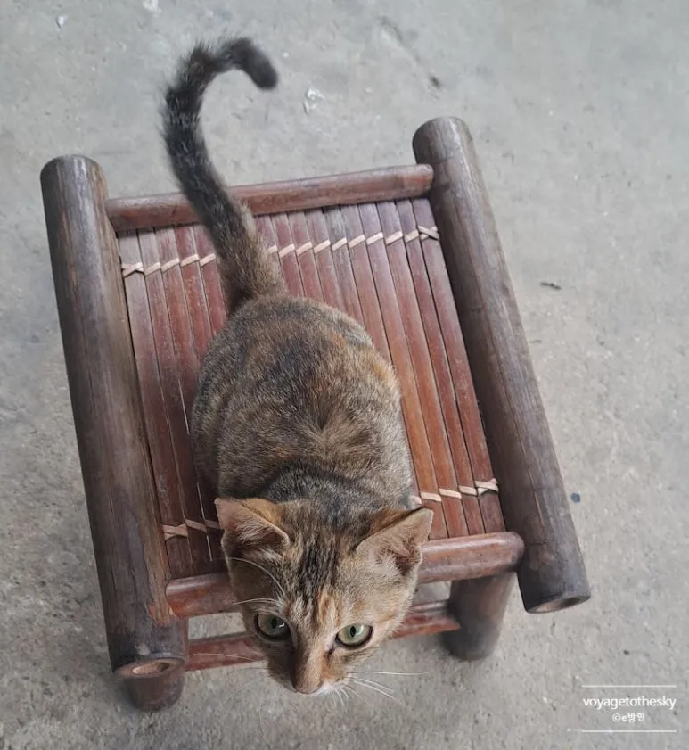 SE-5c016bdd-3e5c-45c4-9e9c-bd2b539682f5.jpg?type=w773