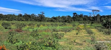 SE-9e45a868-c4ae-4eae-b9fe-f3ff8f17fc97.jpg?type=w386