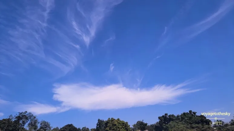 SE-8a76e5b3-6485-4020-8939-0526e318f42a.jpg?type=w773