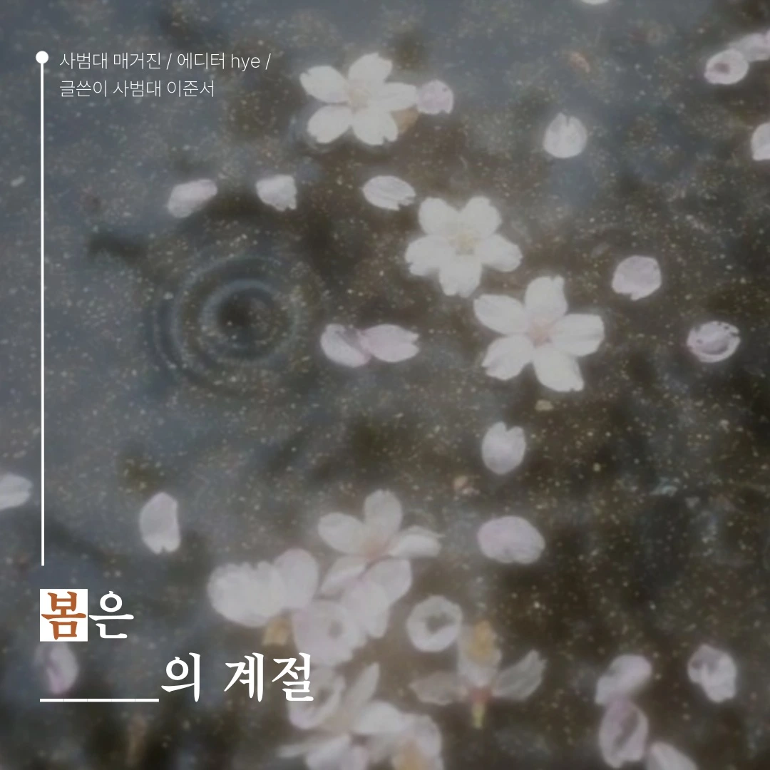 KakaoTalk_Photo_2025-05-07-17-07-03 001.jpeg