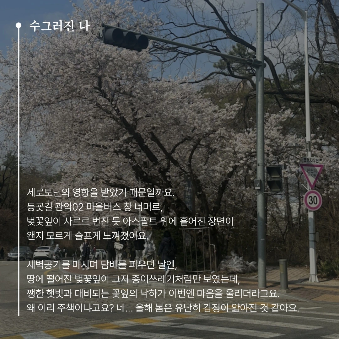 KakaoTalk_Photo_2025-05-07-17-07-05 004.jpeg