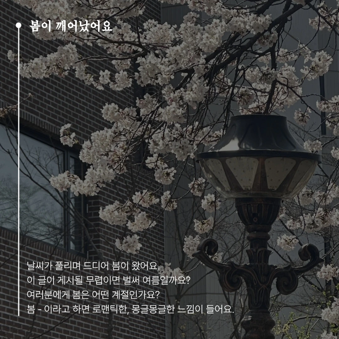 KakaoTalk_Photo_2025-05-07-17-07-04 002.jpeg