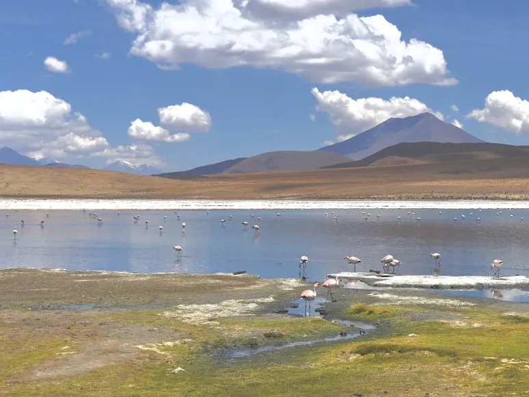 IMG_5135_(1).JPEG?type=w773